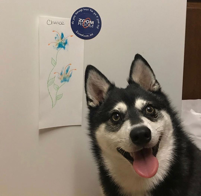 30 Adorable Works Of Art Made By Even More Adorable Pawcassos