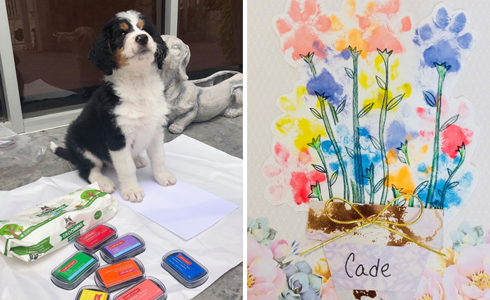 30 Adorable Works Of Art Made By Even More Adorable Pawcassos
