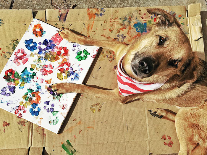 30 Adorable Works Of Art Made By Even More Adorable Pawcassos