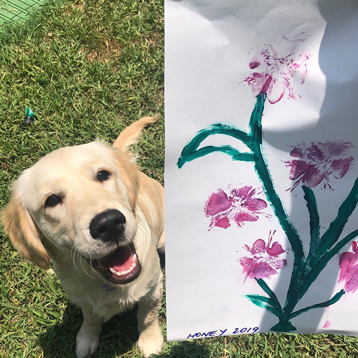 30 Adorable Works Of Art Made By Even More Adorable Pawcassos