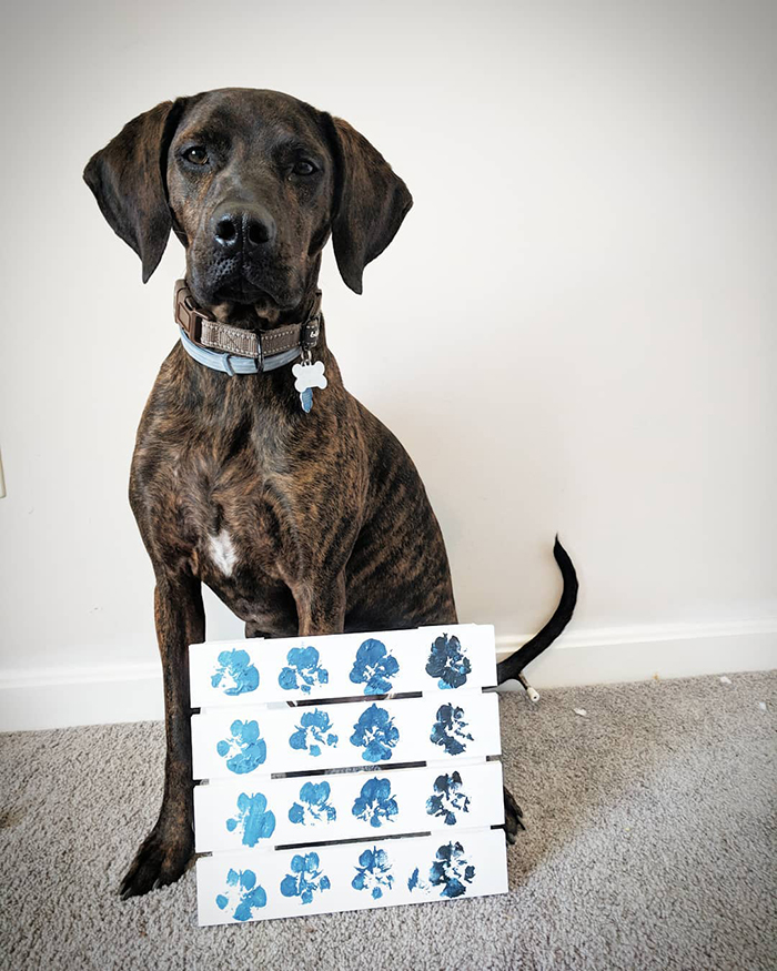 30 Adorable Works Of Art Made By Even More Adorable Pawcassos