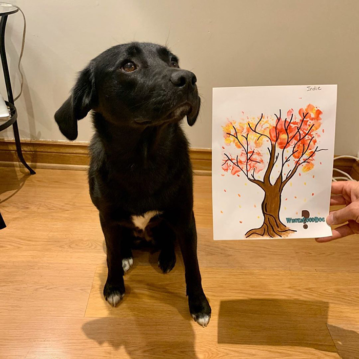 30 Adorable Works Of Art Made By Even More Adorable Pawcassos