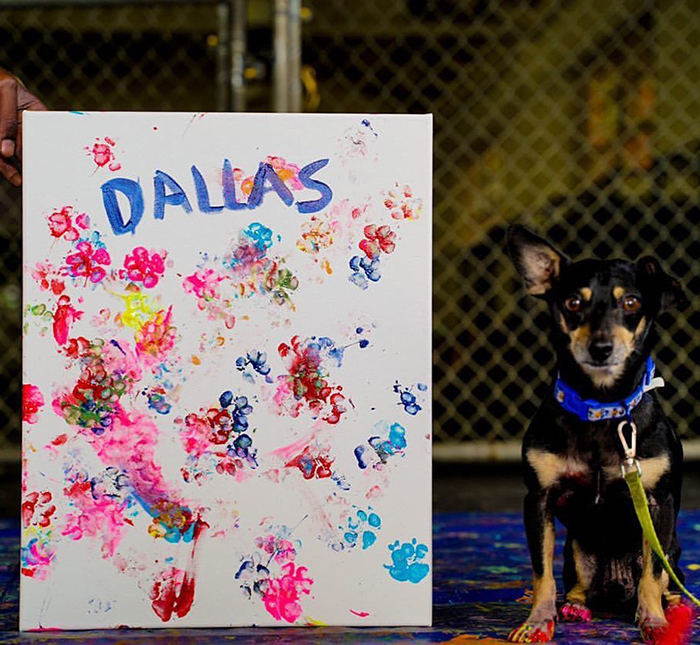 30 Adorable Works Of Art Made By Even More Adorable Pawcassos