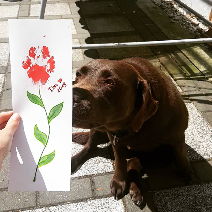 30 Adorable Works Of Art Made By Even More Adorable Pawcassos