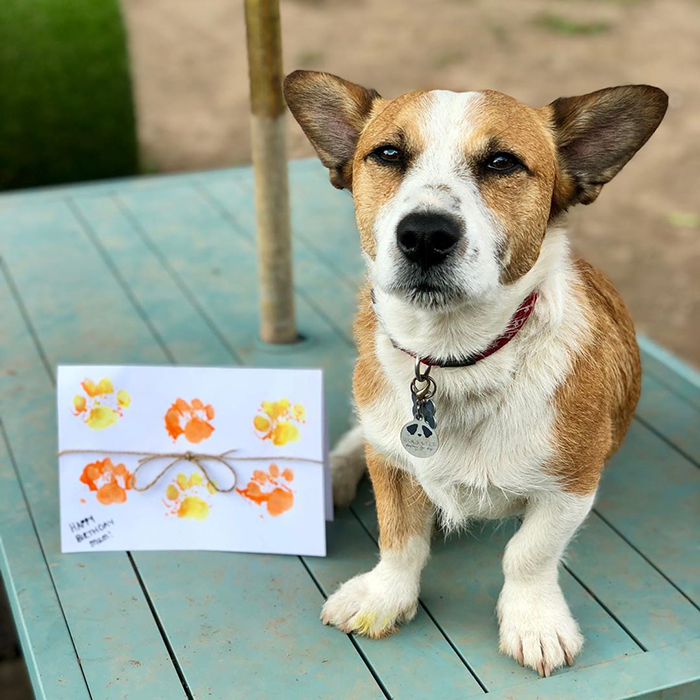 30 Adorable Works Of Art Made By Even More Adorable Pawcassos