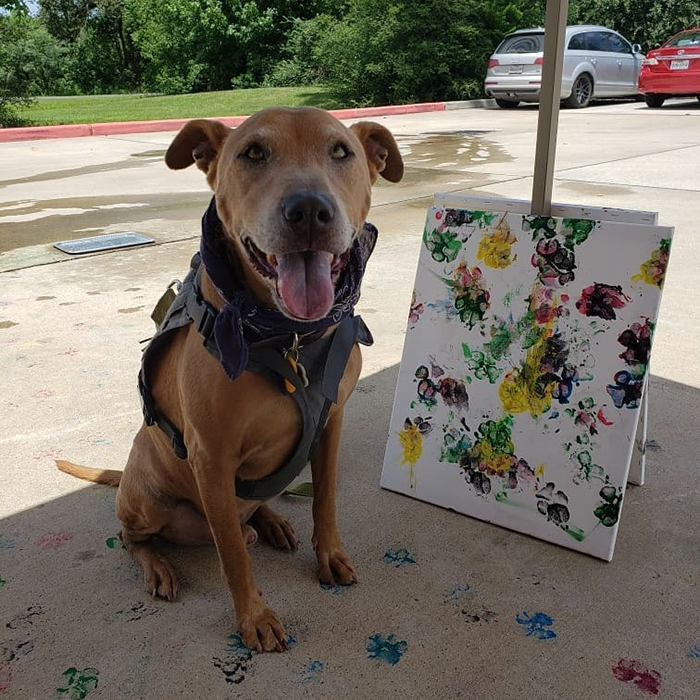 30 Adorable Works Of Art Made By Even More Adorable Pawcassos