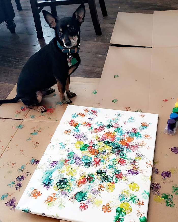 30 Adorable Works Of Art Made By Even More Adorable Pawcassos