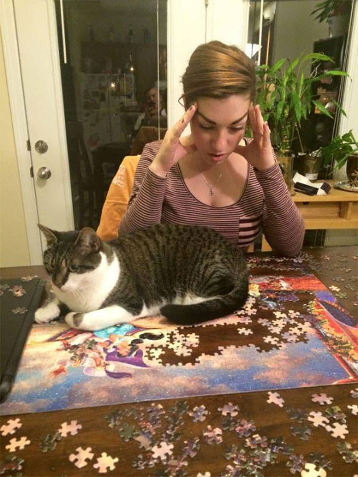 30 Photos That Show The Reality Of Trying To Finish A Puzzle With Your Cat 30 Photos That Show The Reality Of Trying To Finish A Puzzle With Your Cat