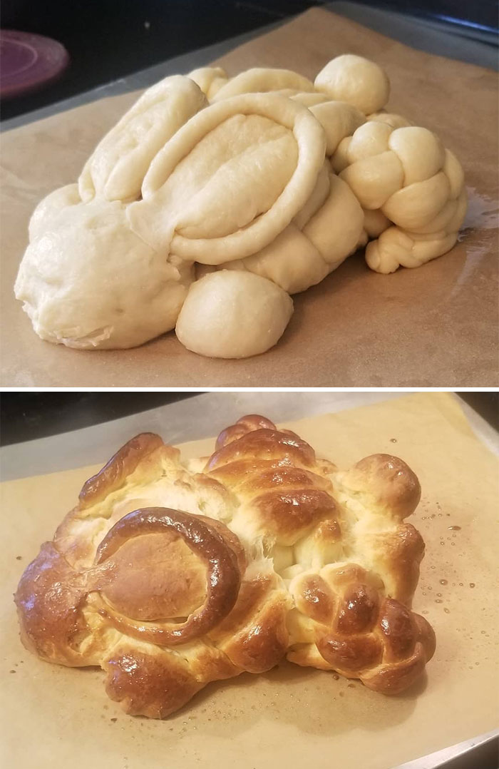 Quarantined People Are Sharing Their Failed Baking Attempts And Here Are 30 Of The Funniest Ones Quarantined People Are Sharing Their Failed Baking Attempts And Here Are 30 Of The Funniest Ones