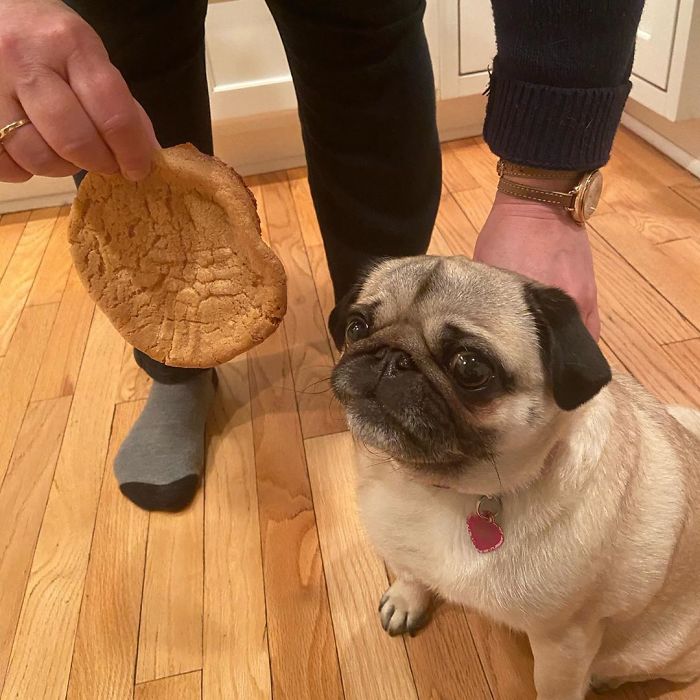 Quarantined People Are Sharing Their Failed Baking Attempts And Here Are 30 Of The Funniest Ones