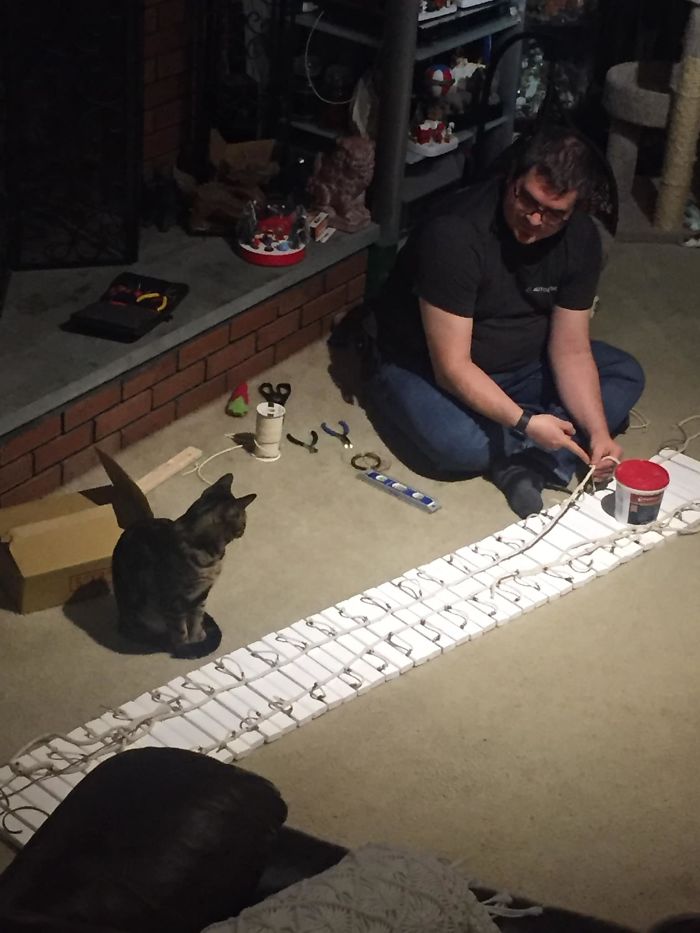 Man Builds Two Kitty Towers For His Cats And So Many People Want It, He’s Gonna Start Selling The Building Plans Man Builds Two Kitty Towers For His Cats And So Many People Want It, He’s Gonna Start Selling The Building Plans