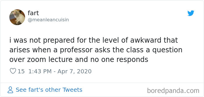 35 Best Posts About The Everyday Realities Of Zoom Meetings