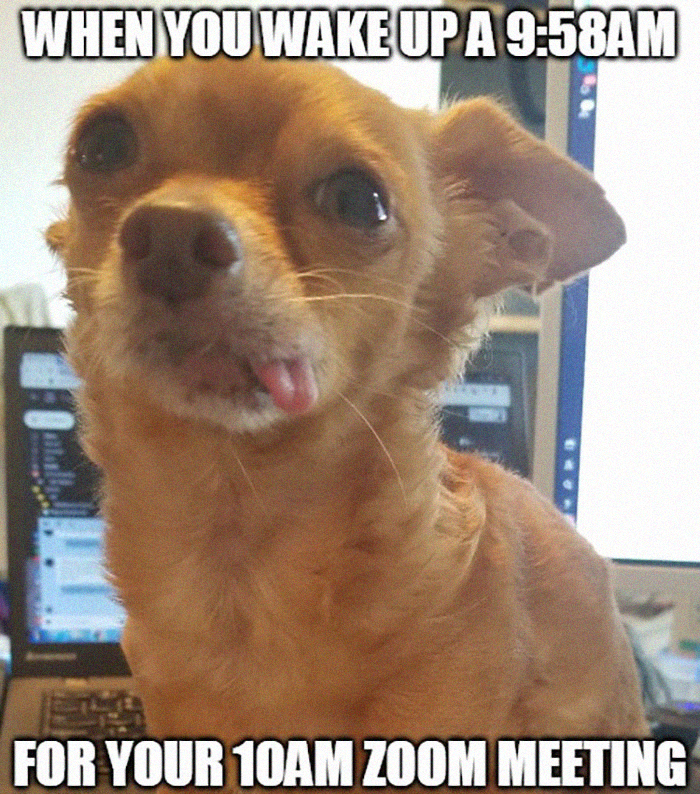 35 Best Posts About The Everyday Realities Of Zoom Meetings