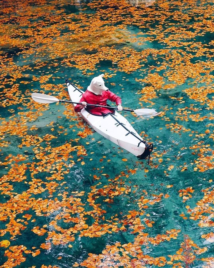 What My Instagram Profile Would Look Like If I Traveled Only Inside My Home What My Instagram Profile Would Look Like If I Traveled Only Inside My Home