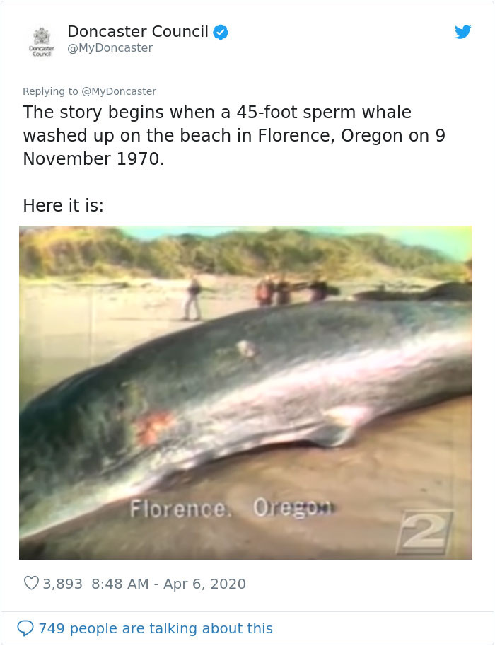 People Are Applauding This Twitter Manager For Using A Whale Blown Up In The 1970s As A Lesson On Coronavirus People Are Applauding This Twitter Manager For Using A Whale Blown Up In The 1970s As A Lesson On Coronavirus