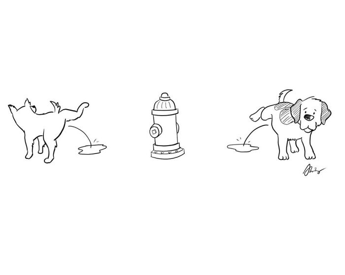 My 20 Comics To Bring Positivity And Humor To Our Shared Situation My 20 Comics To Bring Positivity And Humor To Our Shared Situation