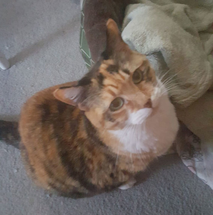 Someone Says To Refer To Your Pet As ‘The Drunk Guy At The Back Of The Bar’ And People Deliver (30 Posts) Someone Says To Refer To Your Pet As ‘The Drunk Guy At The Back Of The Bar’ And People Deliver (30 Posts)