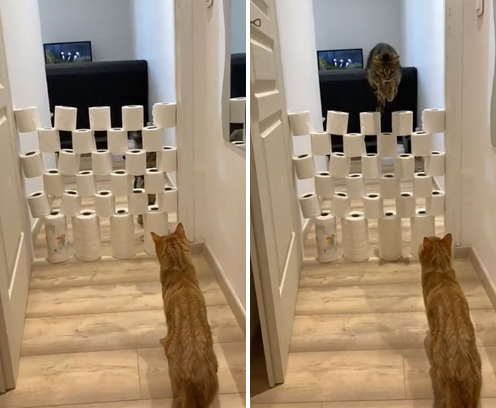 People In Quarantine Finally Have The Time For Cool Projects, And Here Are 32 Of The Most Creative Ones People In Quarantine Finally Have The Time For Cool Projects, And Here Are 32 Of The Most Creative Ones