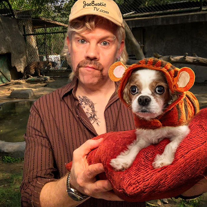 The Tiger King Challenge Is Now A Thing And Here Are 58 Of The Best Attempts At It The Tiger King Challenge Is Now A Thing And Here Are 58 Of The Best Attempts At It