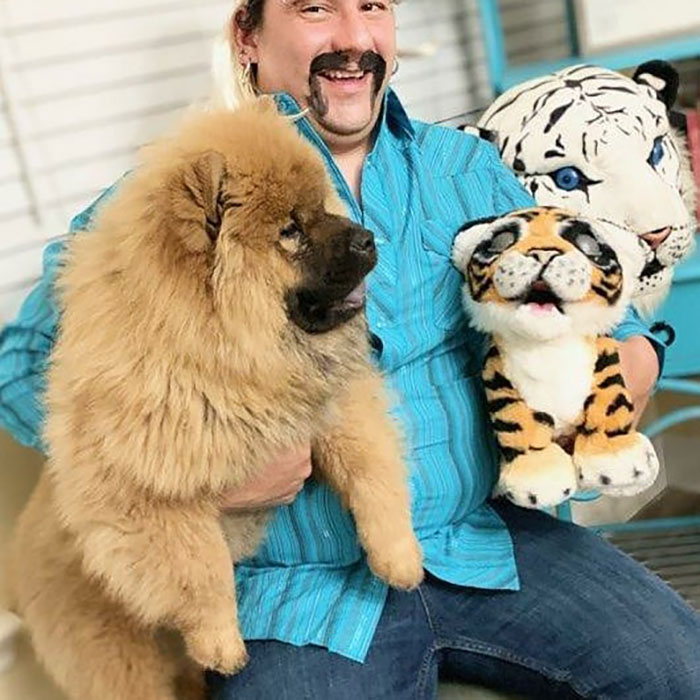 The Tiger King Challenge Is Now A Thing And Here Are 58 Of The Best Attempts At It The Tiger King Challenge Is Now A Thing And Here Are 58 Of The Best Attempts At It