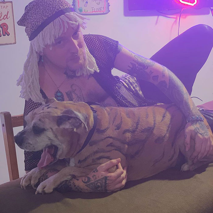 The Tiger King Challenge Is Now A Thing And Here Are 58 Of The Best Attempts At It The Tiger King Challenge Is Now A Thing And Here Are 58 Of The Best Attempts At It