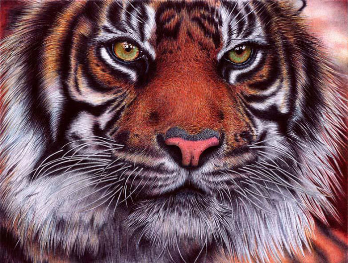 61 Ballpoint Pen Drawings By Samuel Silva 61 Ballpoint Pen Drawings By Samuel Silva