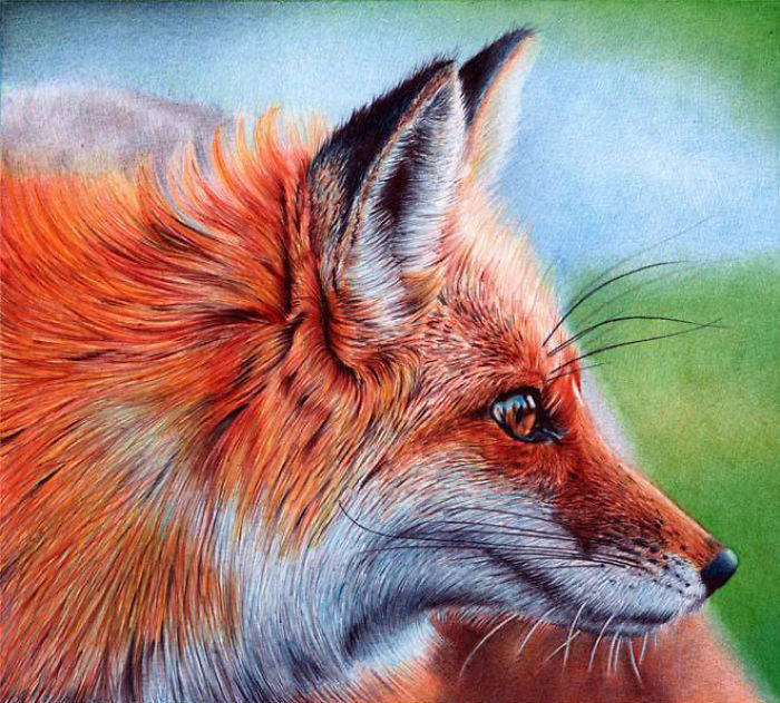 61 Ballpoint Pen Drawings By Samuel Silva 61 Ballpoint Pen Drawings By Samuel Silva