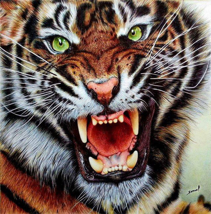 61 Ballpoint Pen Drawings By Samuel Silva 61 Ballpoint Pen Drawings By Samuel Silva