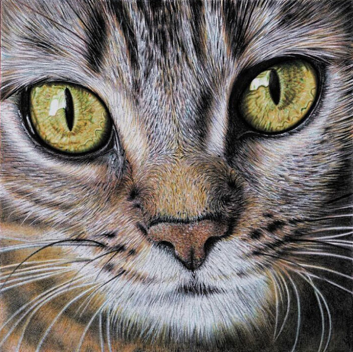 61 Ballpoint Pen Drawings By Samuel Silva 61 Ballpoint Pen Drawings By Samuel Silva