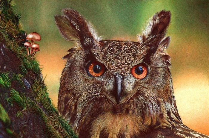 61 Ballpoint Pen Drawings By Samuel Silva 61 Ballpoint Pen Drawings By Samuel Silva