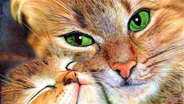 61 Ballpoint Pen Drawings By Samuel Silva 61 Ballpoint Pen Drawings By Samuel Silva