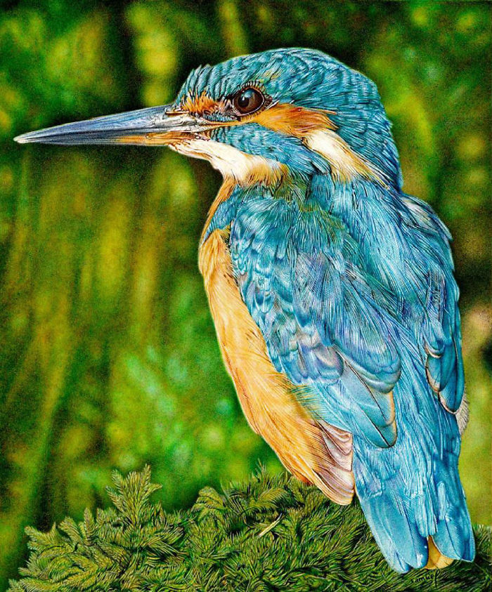 61 Ballpoint Pen Drawings By Samuel Silva 61 Ballpoint Pen Drawings By Samuel Silva