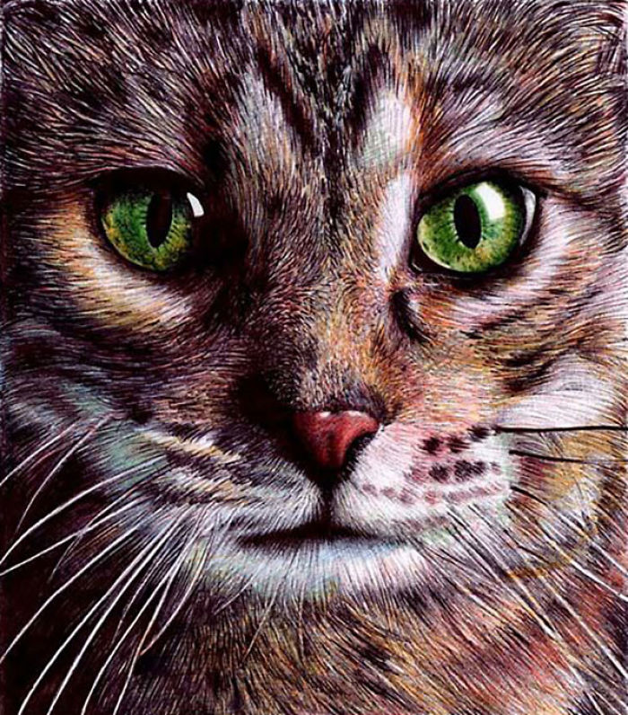 61 Ballpoint Pen Drawings By Samuel Silva 61 Ballpoint Pen Drawings By Samuel Silva