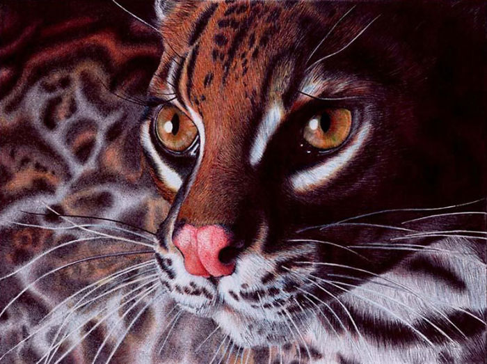 61 Ballpoint Pen Drawings By Samuel Silva 61 Ballpoint Pen Drawings By Samuel Silva