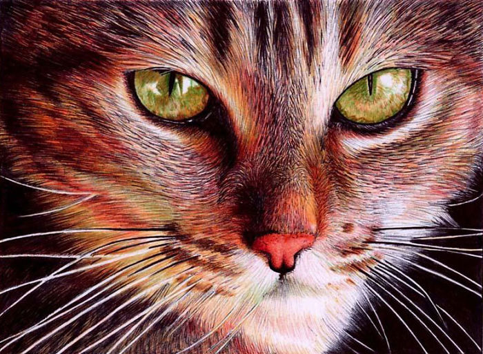 61 Ballpoint Pen Drawings By Samuel Silva 61 Ballpoint Pen Drawings By Samuel Silva