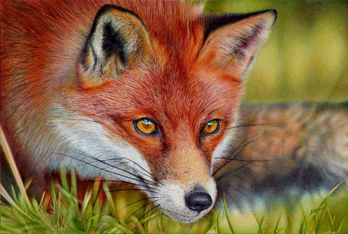 61 Ballpoint Pen Drawings By Samuel Silva 61 Ballpoint Pen Drawings By Samuel Silva