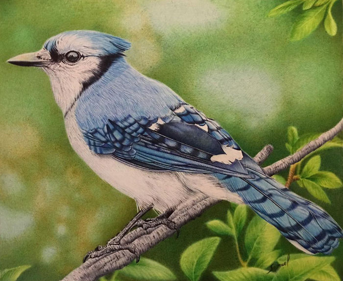 61 Ballpoint Pen Drawings By Samuel Silva 61 Ballpoint Pen Drawings By Samuel Silva