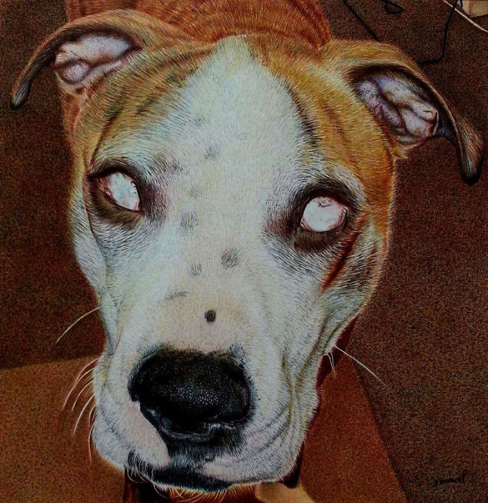 61 Ballpoint Pen Drawings By Samuel Silva 61 Ballpoint Pen Drawings By Samuel Silva