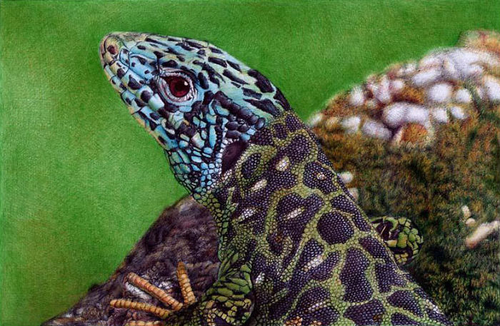 61 Ballpoint Pen Drawings By Samuel Silva 61 Ballpoint Pen Drawings By Samuel Silva