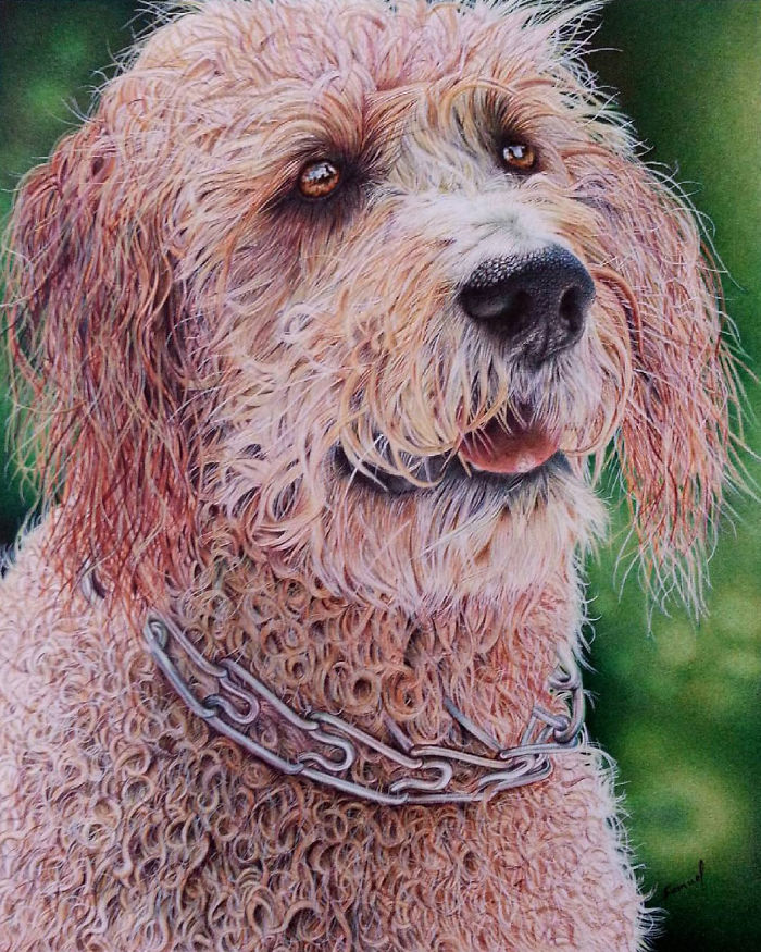 61 Ballpoint Pen Drawings By Samuel Silva 61 Ballpoint Pen Drawings By Samuel Silva