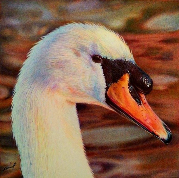 61 Ballpoint Pen Drawings By Samuel Silva 61 Ballpoint Pen Drawings By Samuel Silva