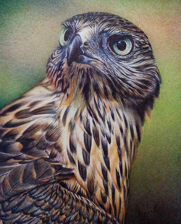 61 Ballpoint Pen Drawings By Samuel Silva 61 Ballpoint Pen Drawings By Samuel Silva