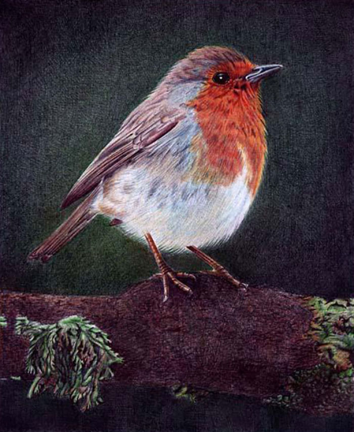 61 Ballpoint Pen Drawings By Samuel Silva 61 Ballpoint Pen Drawings By Samuel Silva