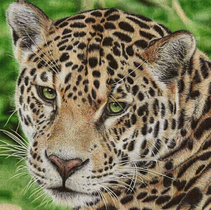 61 Ballpoint Pen Drawings By Samuel Silva 61 Ballpoint Pen Drawings By Samuel Silva