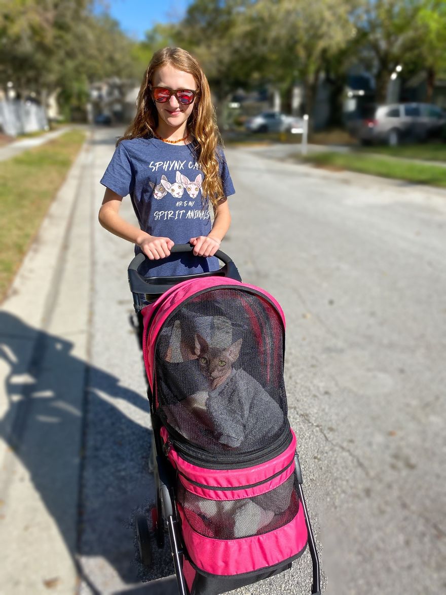 Here Are 68 Pics Of My Cats That Help Me During Tough Times Here Are 68 Pics Of My Cats That Help Me During Tough Times