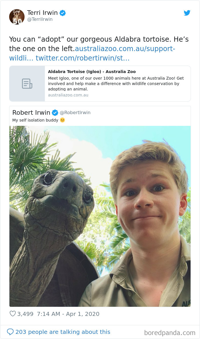 Robert Irwin Shares Photo Of His Self-Isolation Buddy, A Tortoise Named Igloo