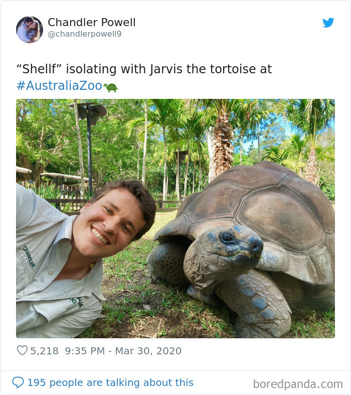Robert Irwin Shares Photo Of His Self-Isolation Buddy, A Tortoise Named Igloo