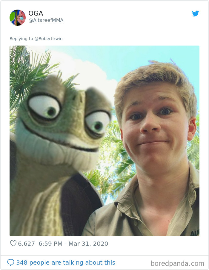 Robert Irwin Shares Photo Of His Self-Isolation Buddy, A Tortoise Named Igloo