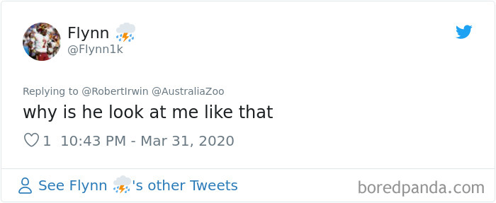 Robert Irwin Shares Photo Of His Self-Isolation Buddy, A Tortoise Named Igloo