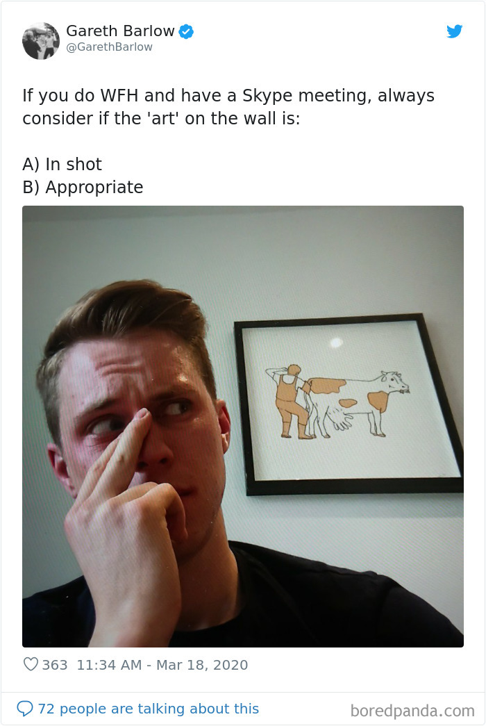 35 Quarantine Conference Calls Gone Hilariously Wrong